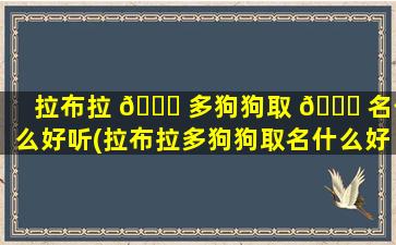 拉布拉 🐋 多狗狗取 🐟 名什么好听(拉布拉多狗狗取名什么好听一点)